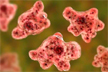 Infection from brain-eating amoeba kills 5-year-old girl in Kerala